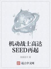 机动战士高达seed视频
