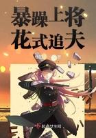 暴躁将军