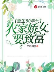 重生八零农家
