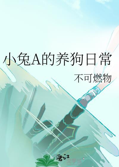 小兔宠物
