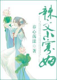 辣文小寡妇同类型