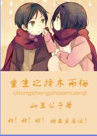 择木而栖