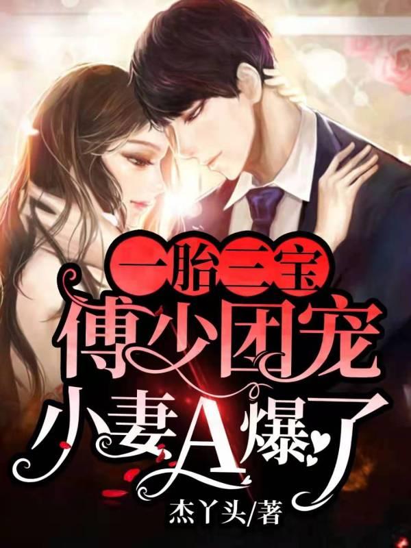 一胎双宝傅少的天价逃妻