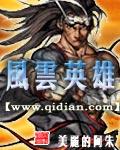 风云英雄会1-40集免费播放